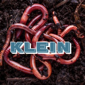 Klein