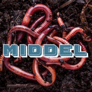 Middel