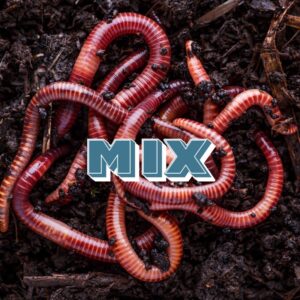 Mix
